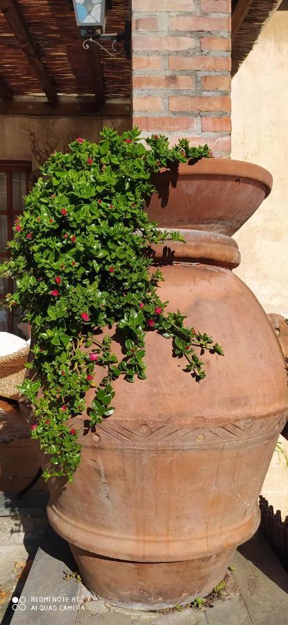 La Stanza Del Sole Guest House Matraia Exterior photo